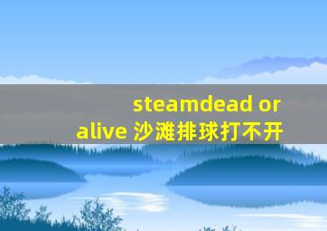 steamdead or alive 沙滩排球打不开